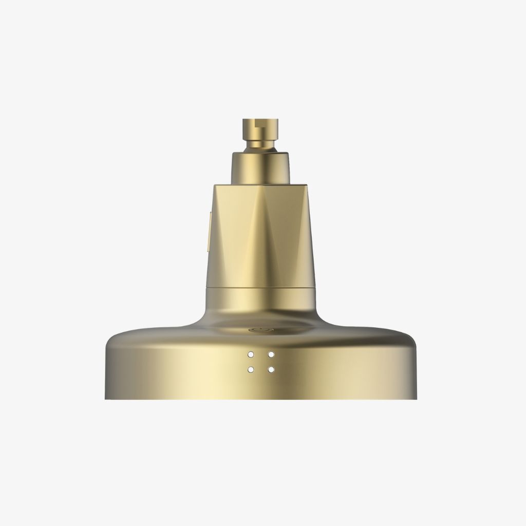 Red Light Showerhead Filter - Matte Brass - Image 1