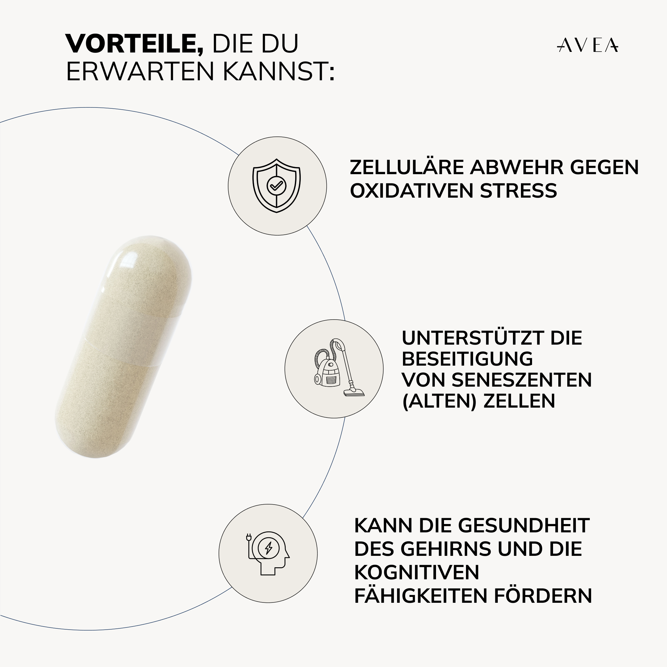 Cell Primer · Zell-Schutz-Komplex - Image 4