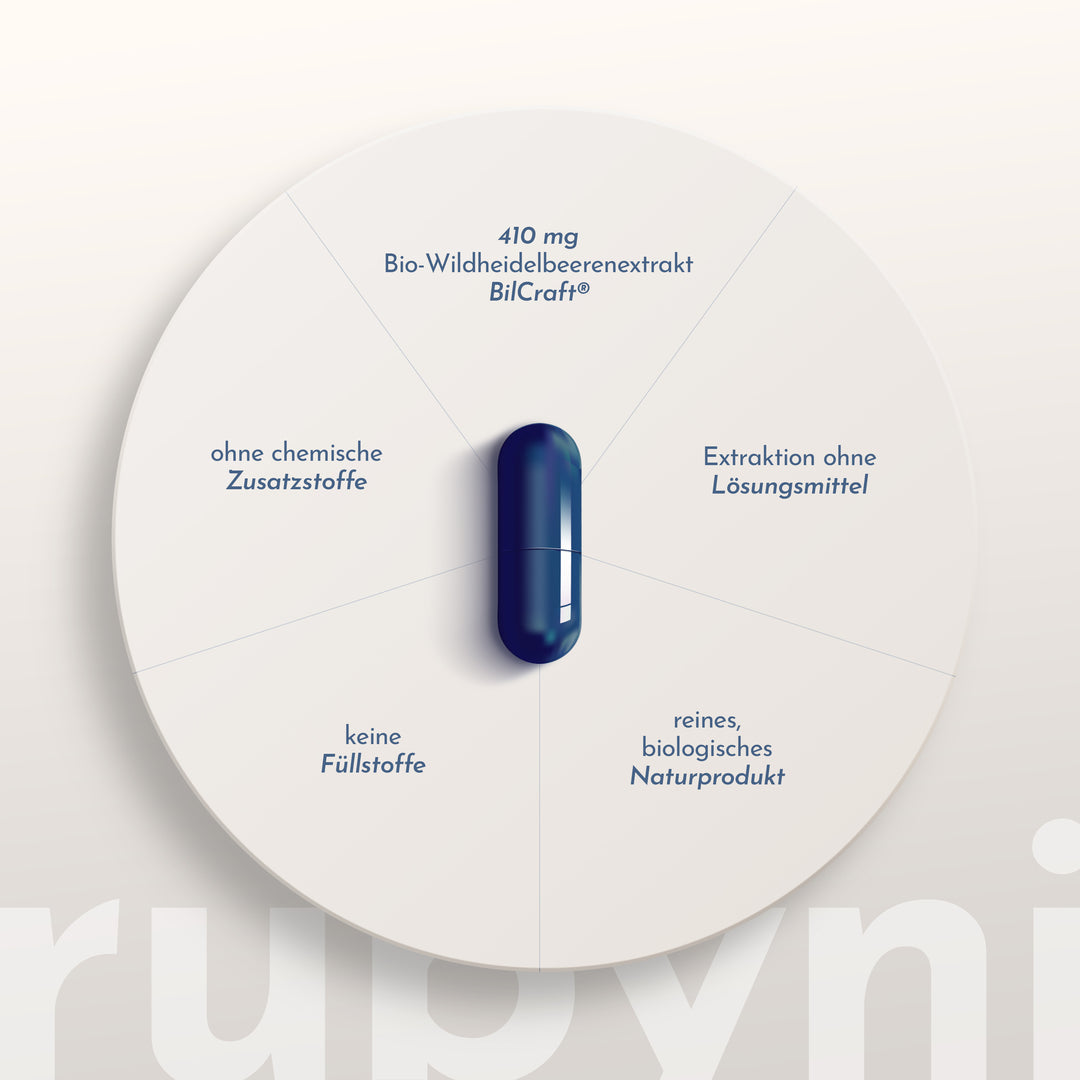 rubyni Wildheidelbeere - Image 4